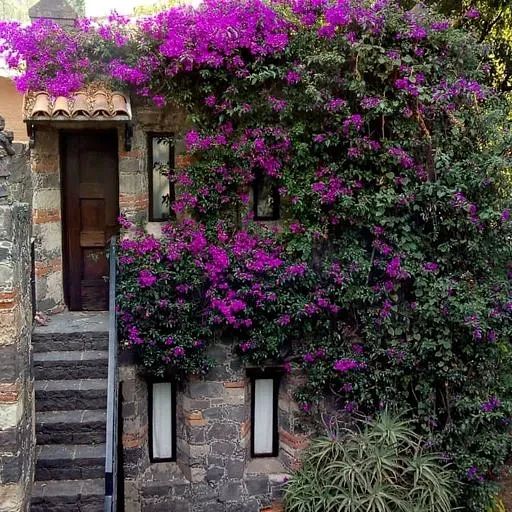 Casa en condominio en Tlacopac, Álvaro Obregón, foto 20 de 28