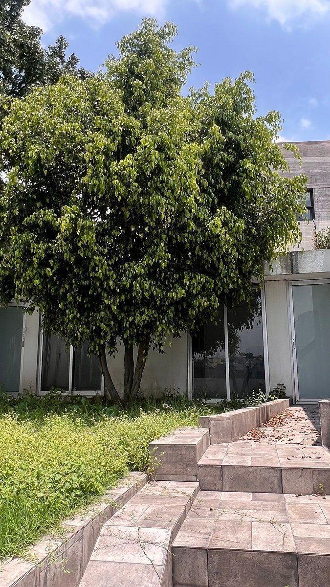 Lote em Bosque de las Lomas, Miguel Hidalgo, foto 19 de 25