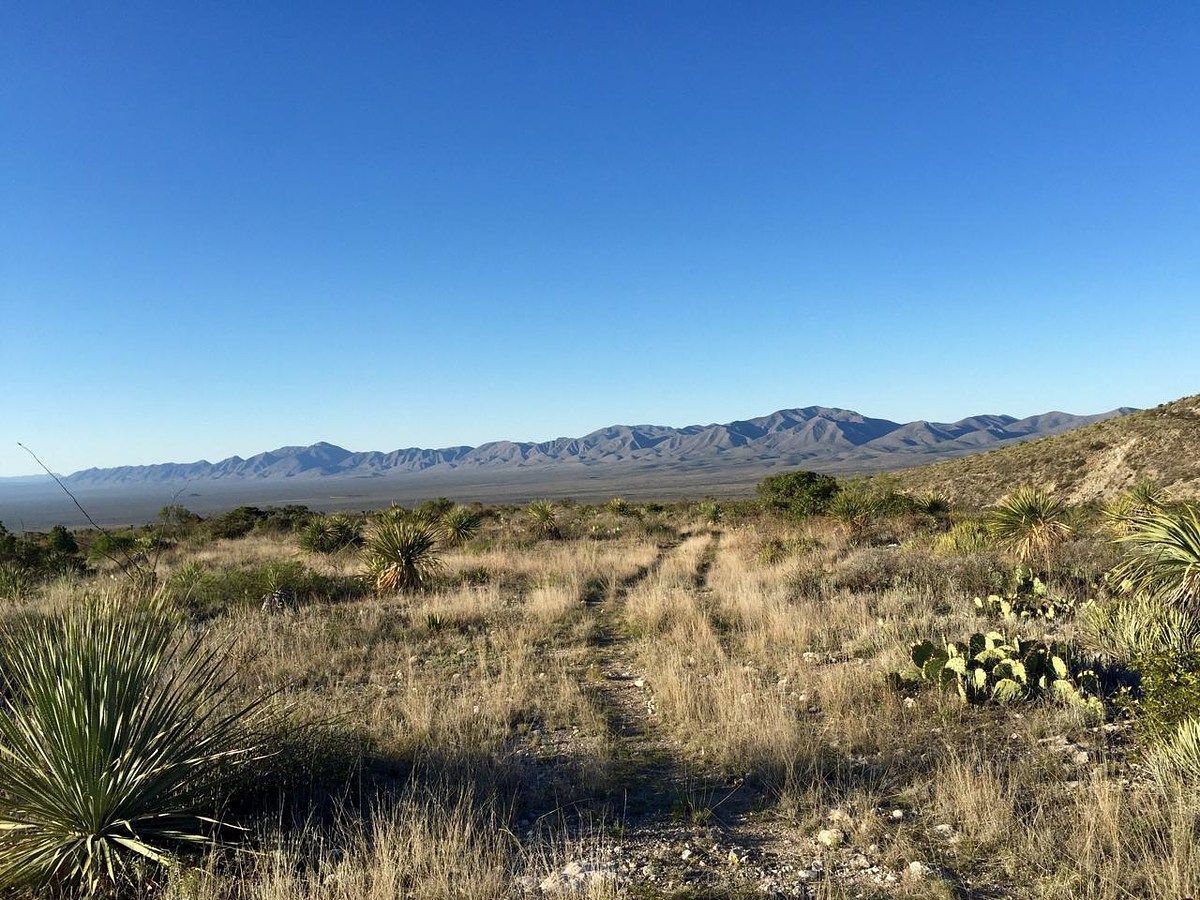 Rancho en Ocampo, Ocampo, foto 5 de 16