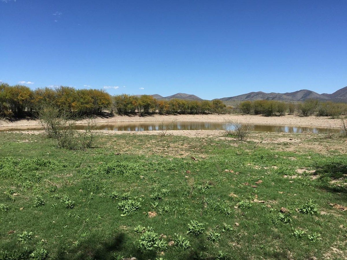 Rancho en Ocampo, Ocampo, foto 7 de 16