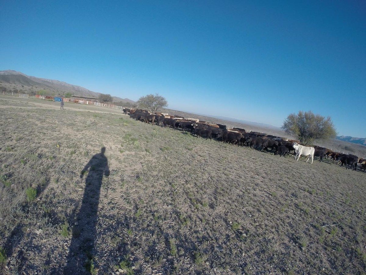 Rancho en Ocampo, Ocampo, foto 8 de 16