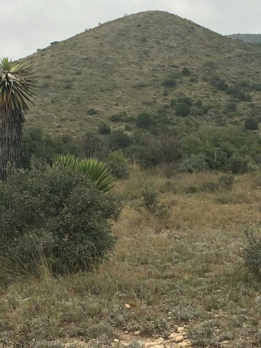 Rancho en Ocampo, Ocampo, foto 11 de 16