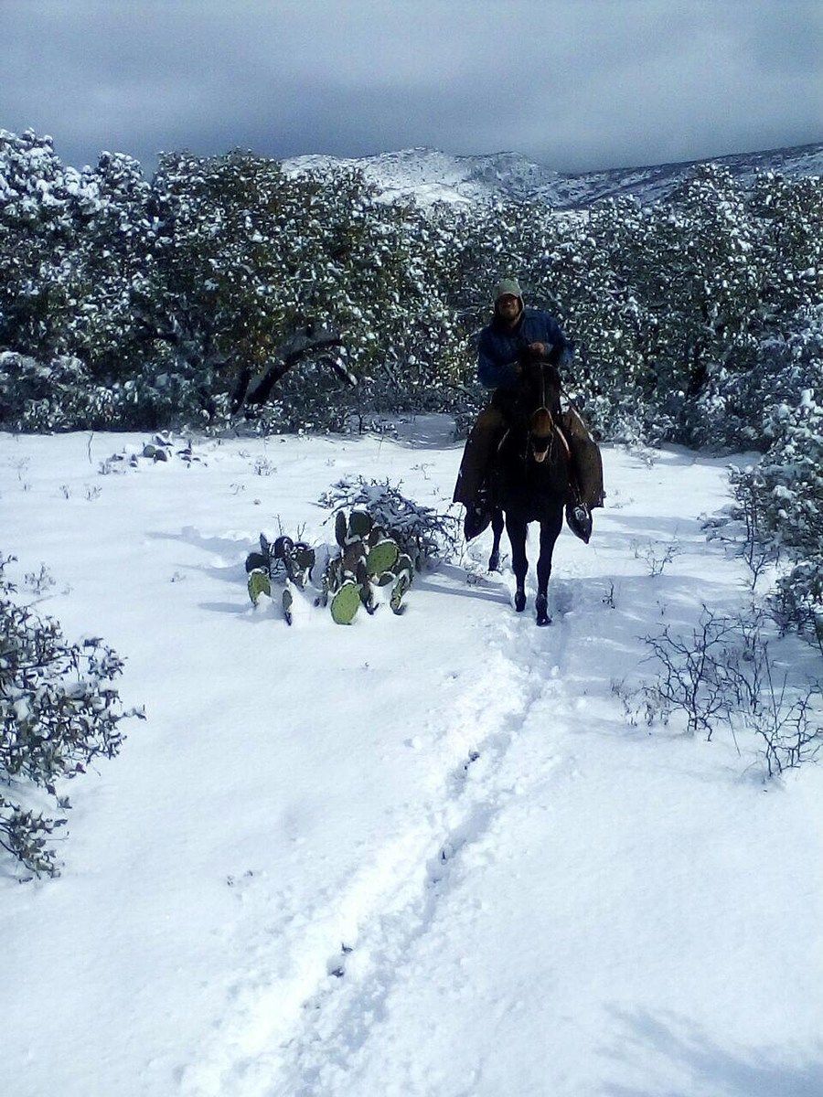 Rancho en Ocampo, Ocampo, foto 16 de 16
