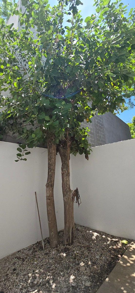 Casa em Copoya, Tuxtla Gutiérrez, foto 20 de 20