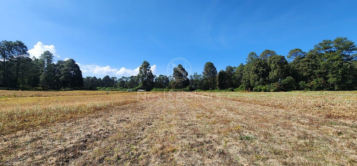 Lote em San Juan, Amanalco, foto 4 de 23