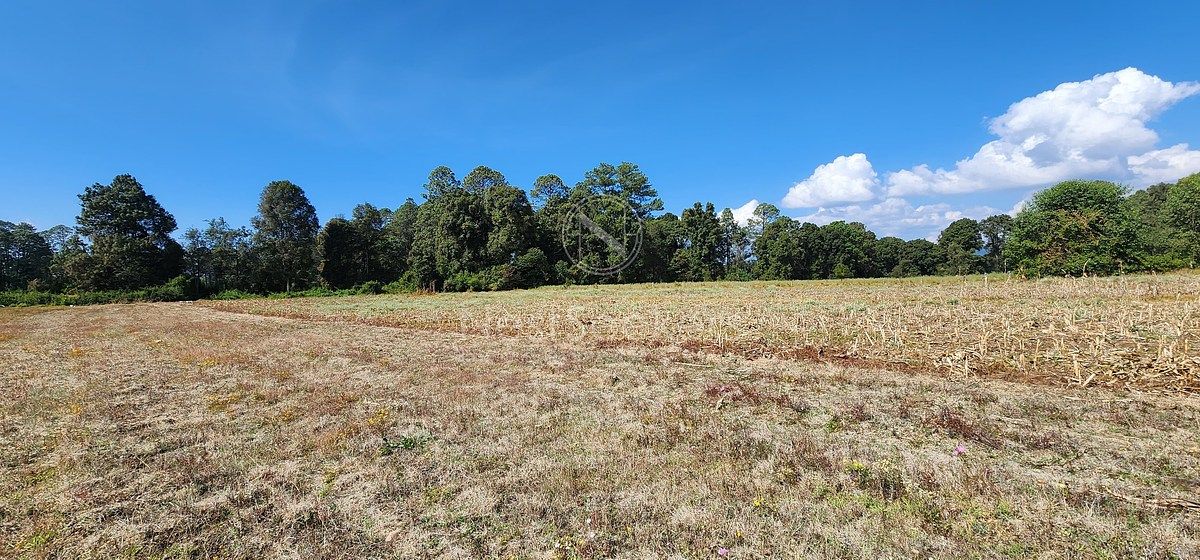 Lote em San Juan, Amanalco, foto 6 de 23