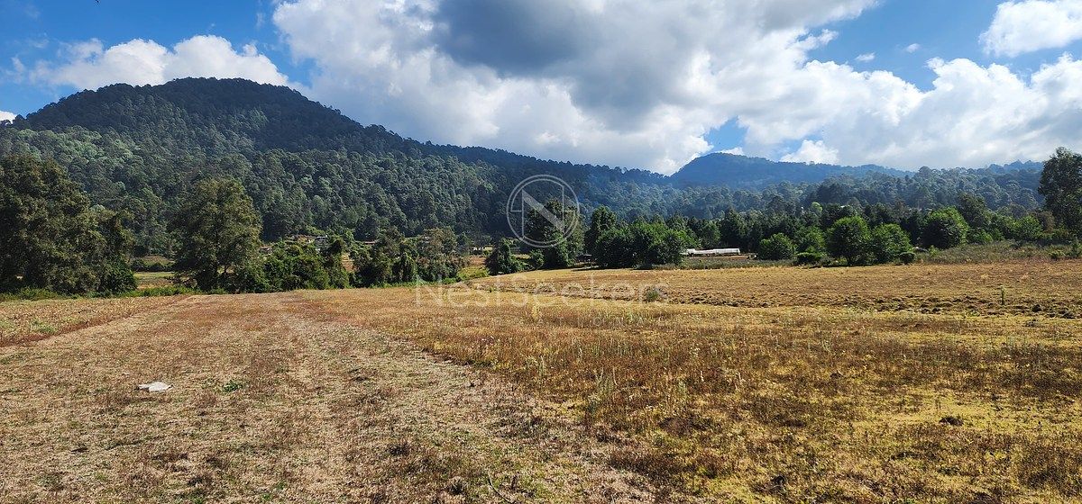 TERRENO À VENDA NO CAMPO, foto 1 de 23