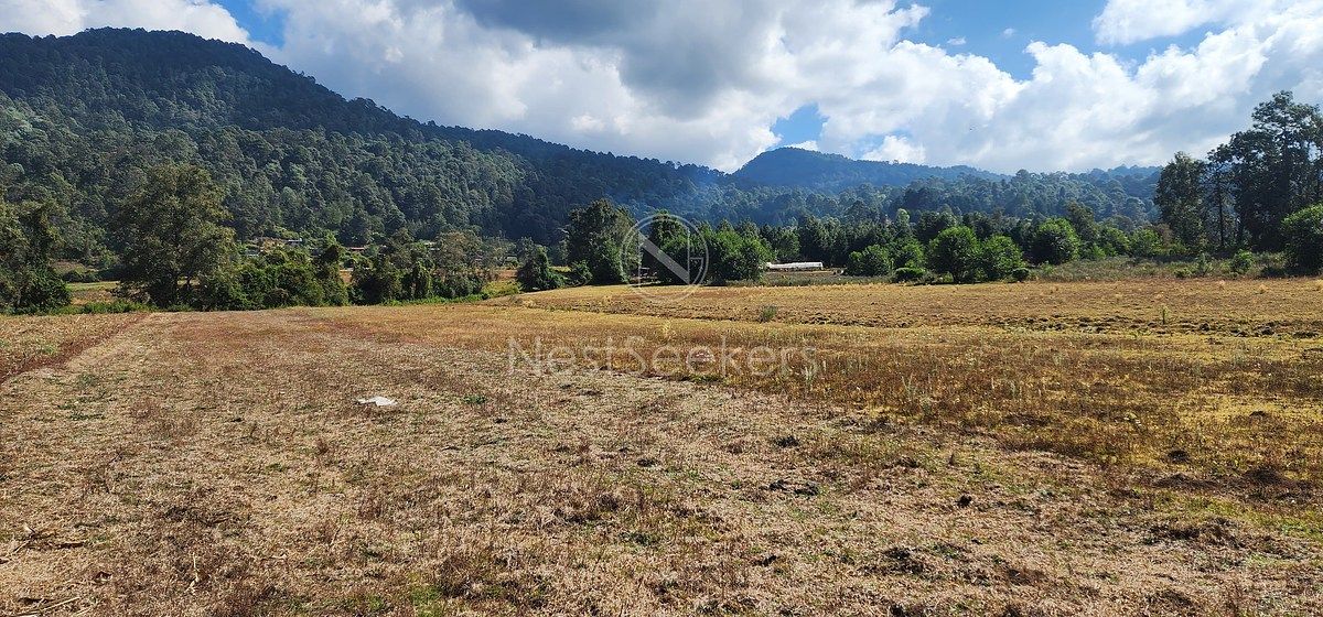 Lote em San Juan, Amanalco, foto 7 de 23
