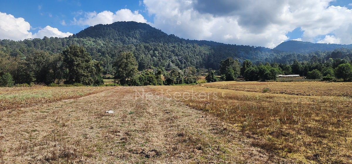 Lote em San Juan, Amanalco, foto 5 de 23