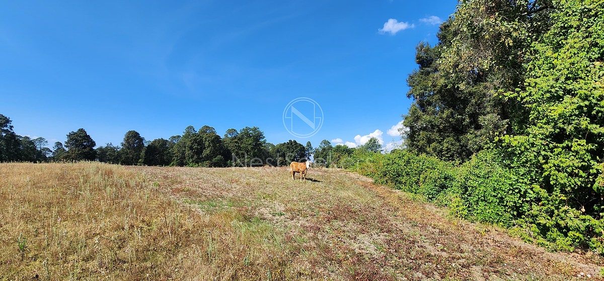 Lote em San Juan, Amanalco, foto 9 de 23