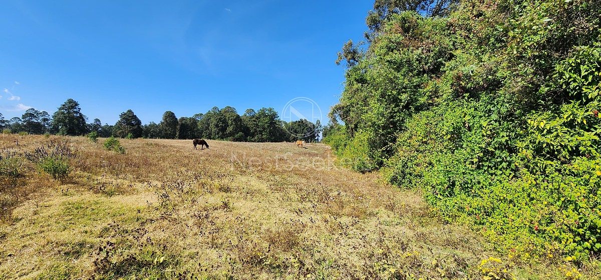 Lote em San Juan, Amanalco, foto 10 de 23