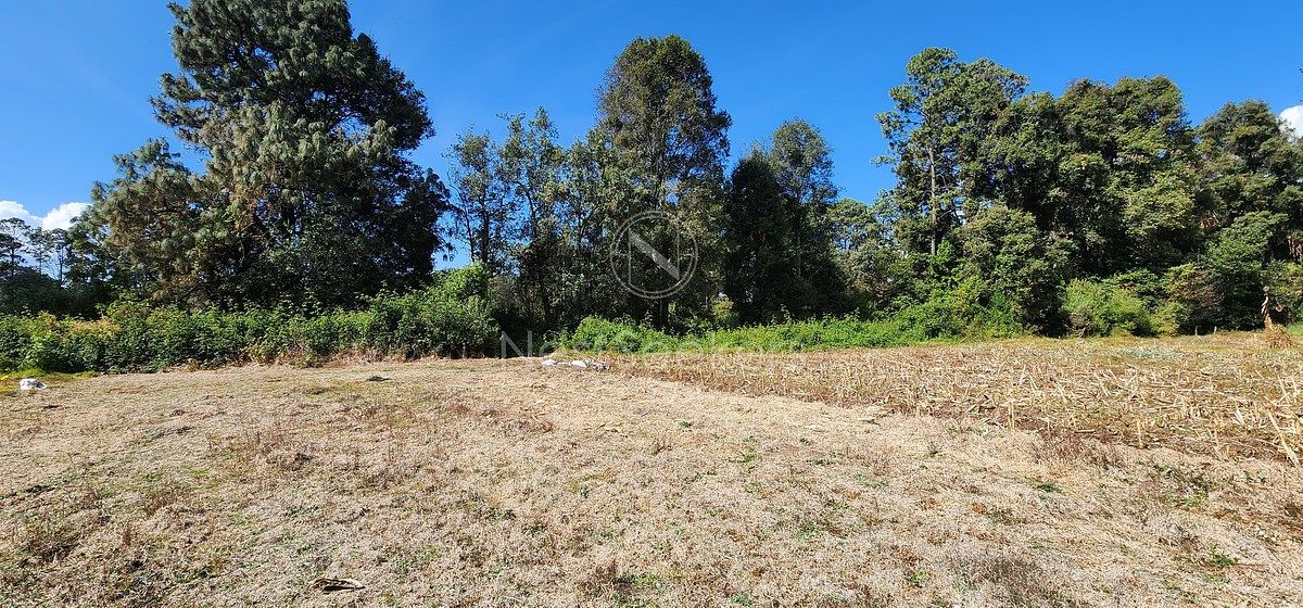 Lote em San Juan, Amanalco, foto 11 de 23