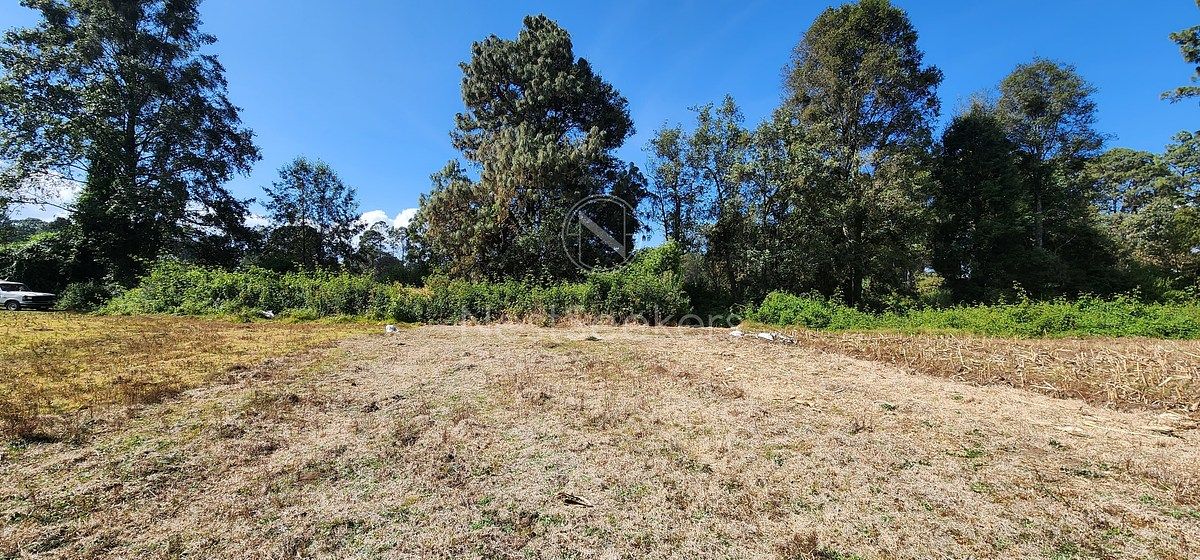 Lote em San Juan, Amanalco, foto 12 de 23