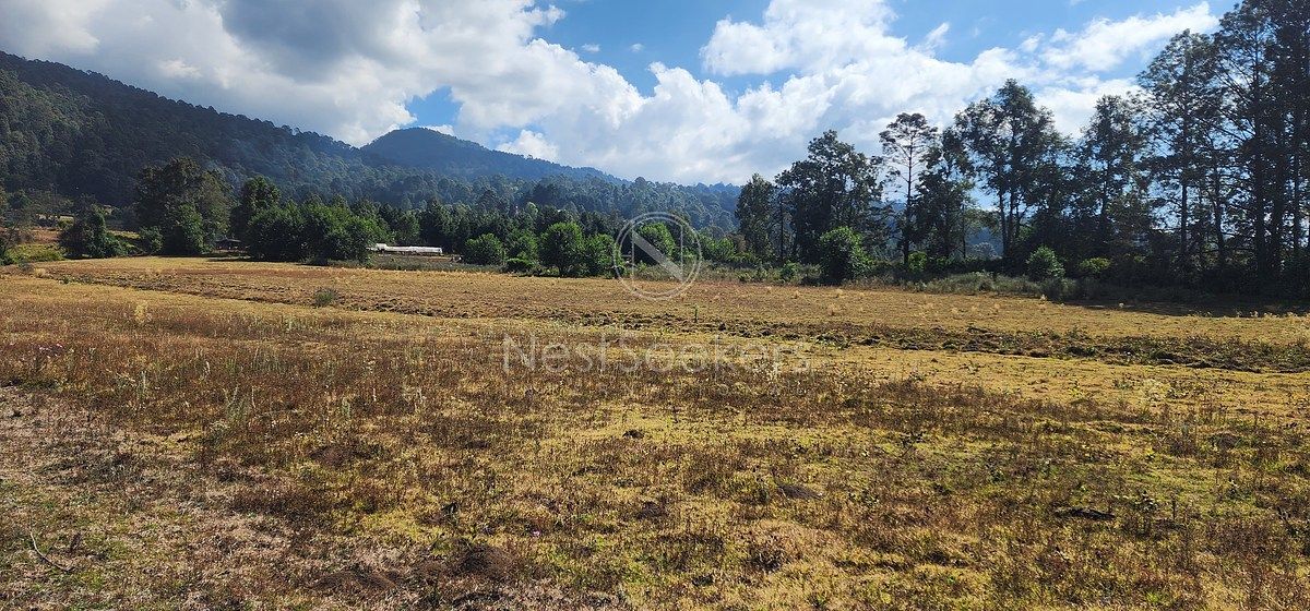 Lote em San Juan, Amanalco, foto 8 de 23