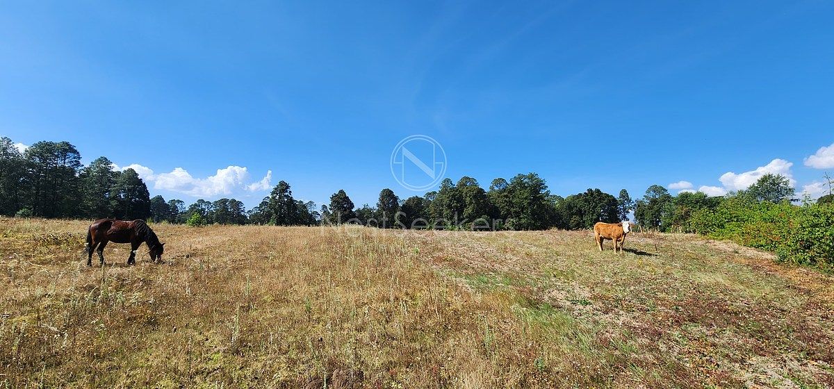 Lote em San Juan, Amanalco, foto 13 de 23