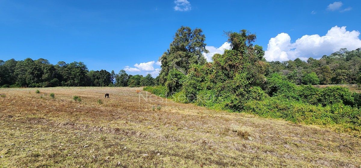 Lote em San Juan, Amanalco, foto 14 de 23