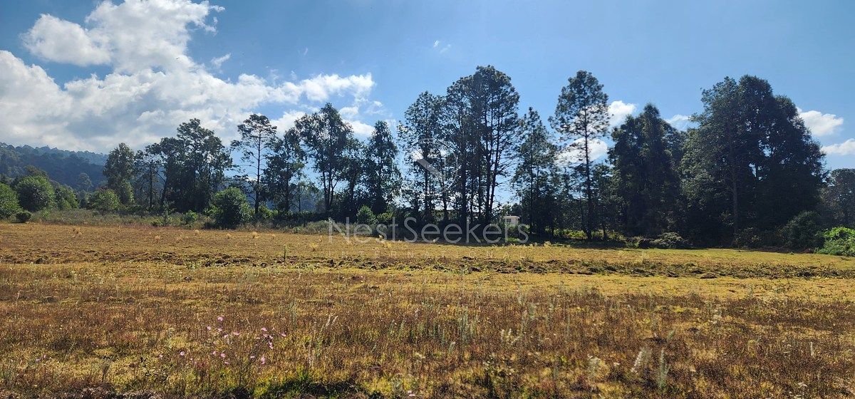 Lote em San Juan, Amanalco, foto 2 de 23