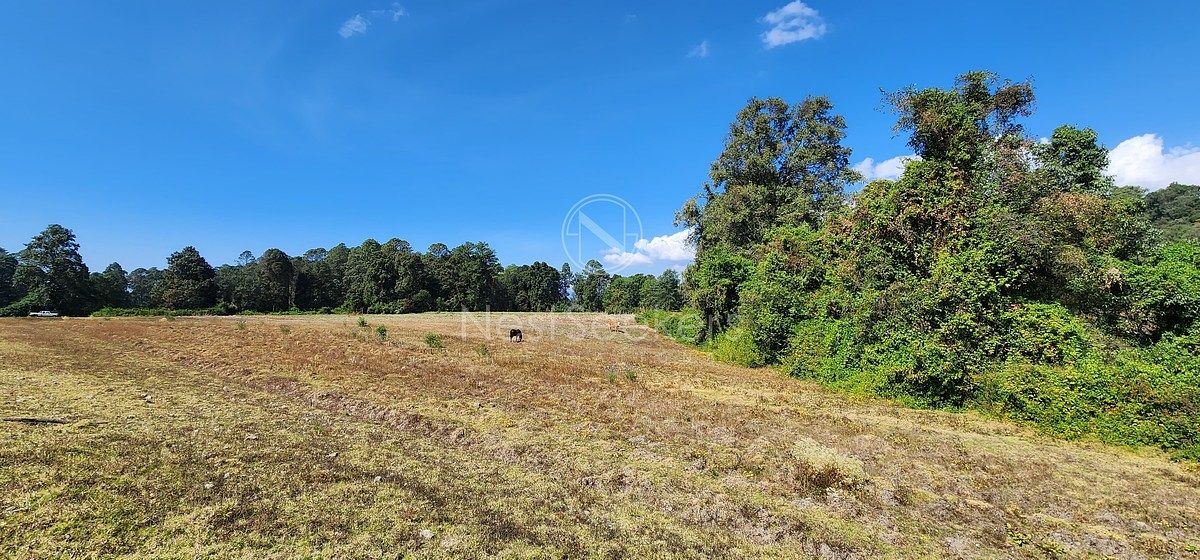 Lote em San Juan, Amanalco, foto 19 de 23