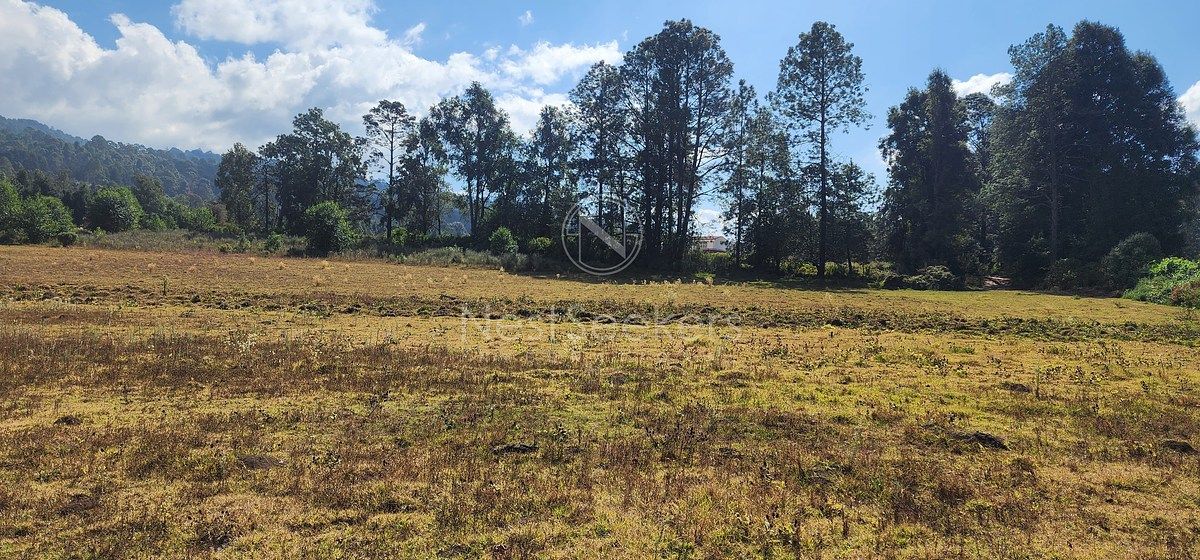 Lote em San Juan, Amanalco, foto 21 de 23