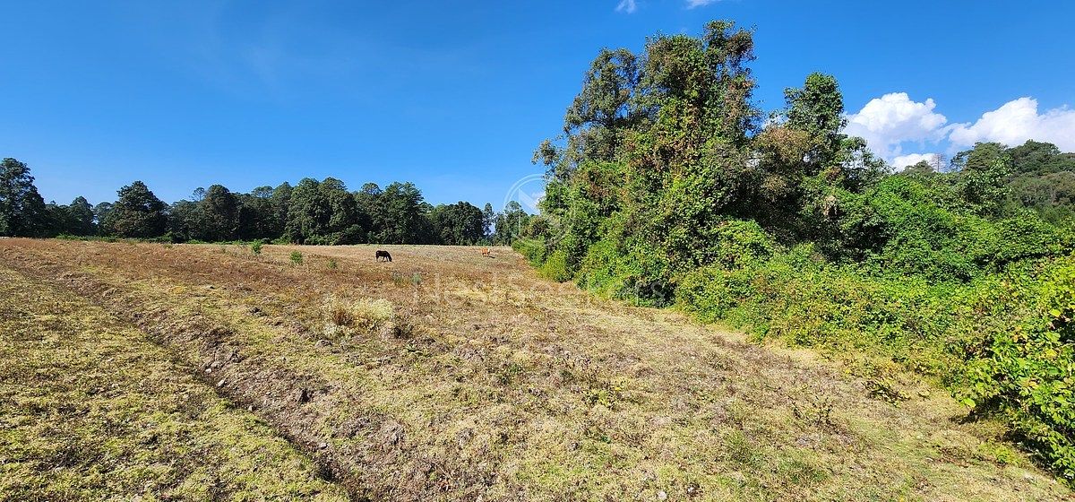 Lote em San Juan, Amanalco, foto 22 de 23