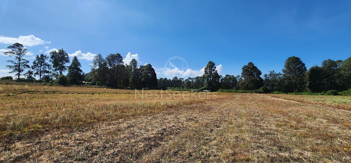 Lote em San Juan, Amanalco, foto 18 de 23