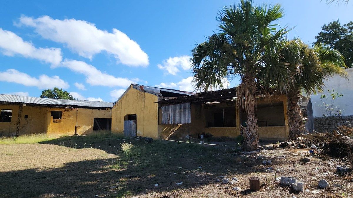 Casa em Mérida Centro, Mérida, foto 19 de 26