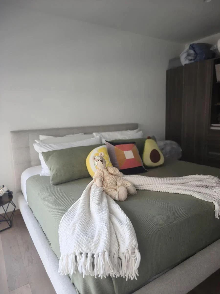 Departamento en Ampliación Granada, Miguel Hidalgo, foto 6 de 29