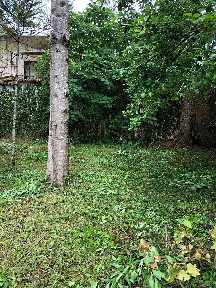 Terreno en Real del Monte, San Cristóbal de Las Casas, foto 4 de 11