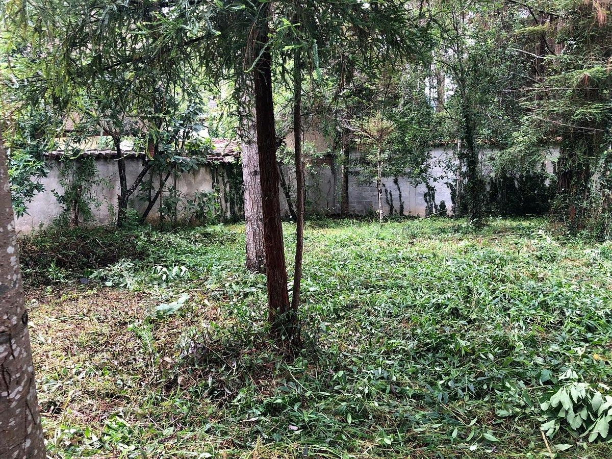 Terreno en Real del Monte, San Cristóbal de Las Casas, foto 3 de 11