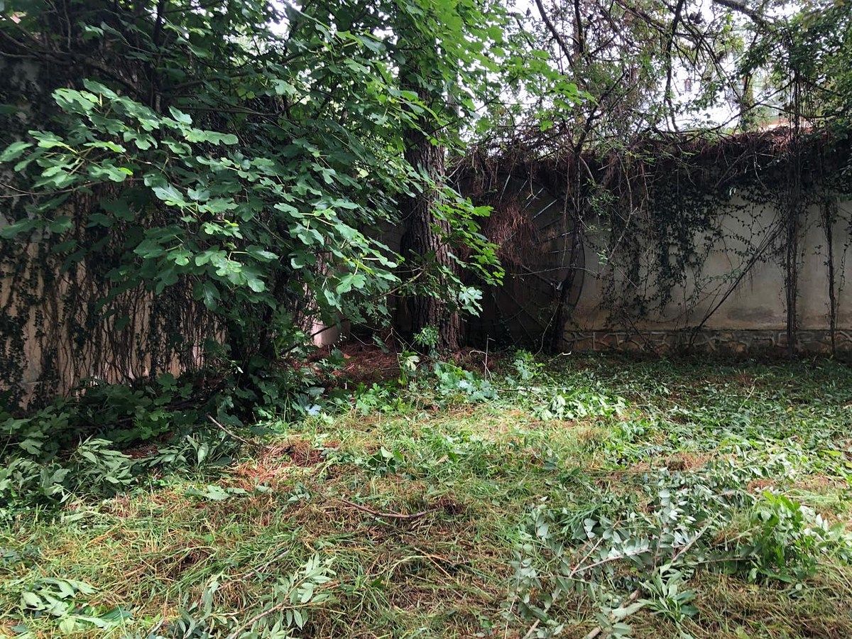 Terreno en Real del Monte, San Cristóbal de Las Casas, foto 9 de 11