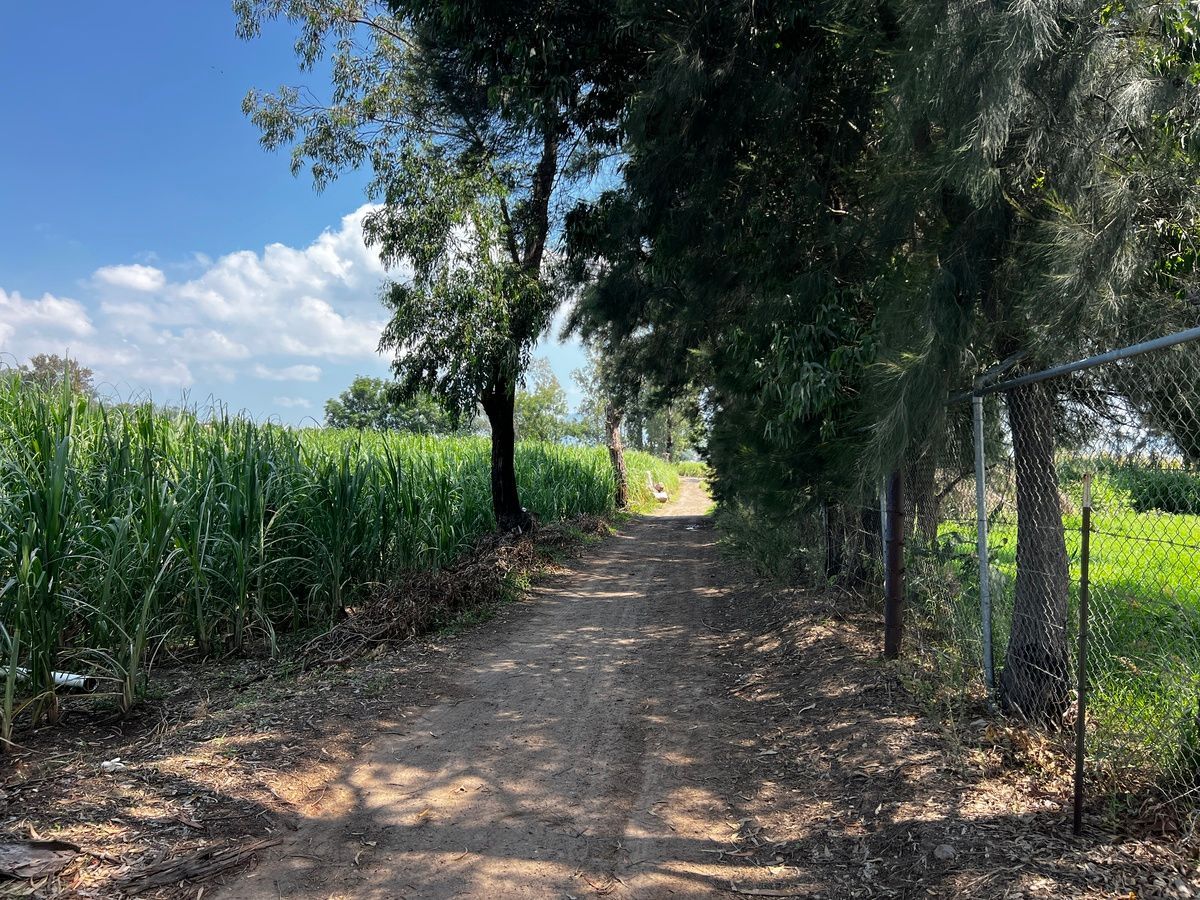Terreno en San Isidro Mazatepec, Tala, foto 15 de 23