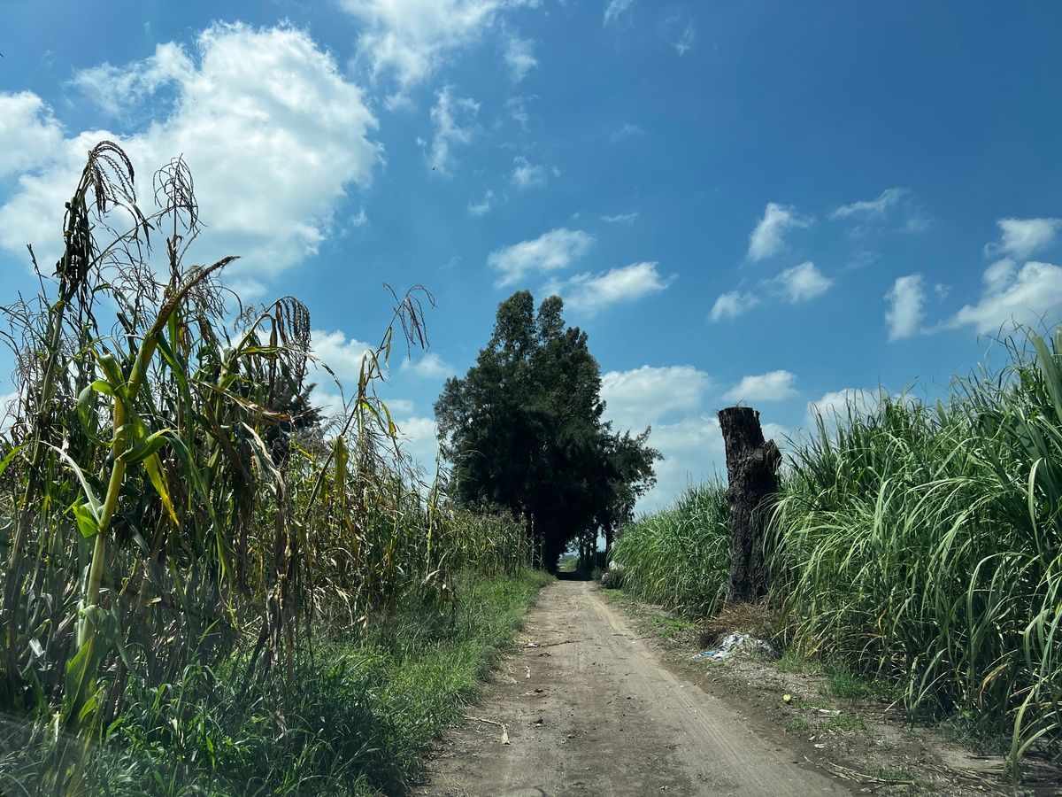 Terreno en San Isidro Mazatepec, Tala, foto 16 de 23