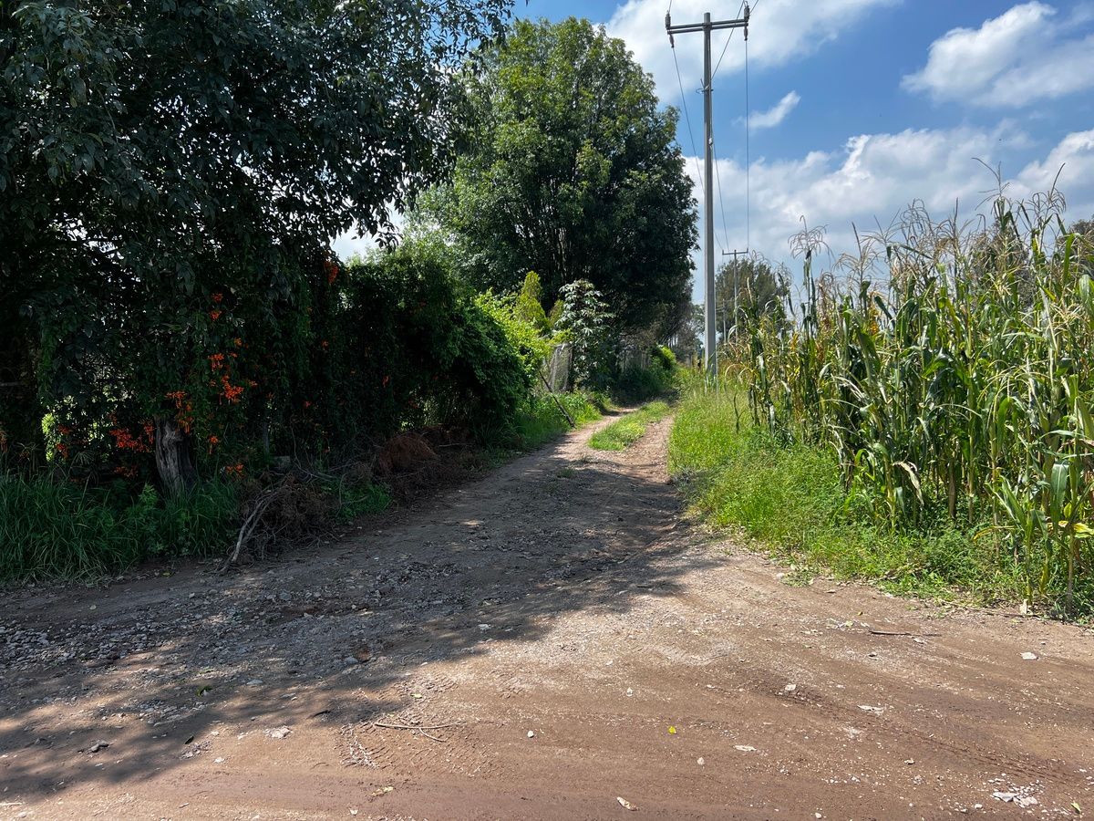 Terreno en San Isidro Mazatepec, Tala, foto 18 de 23