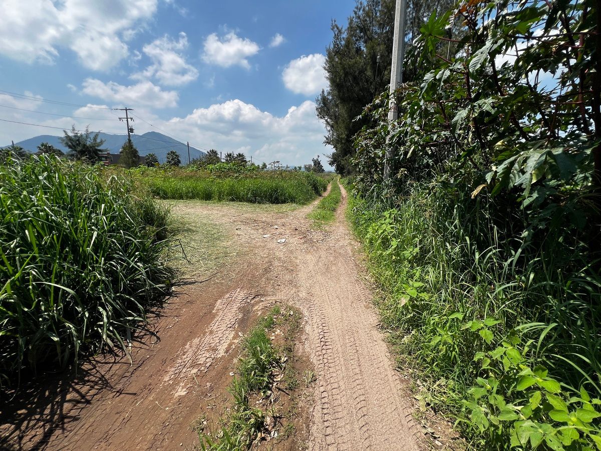Terreno en San Isidro Mazatepec, Tala, foto 19 de 23