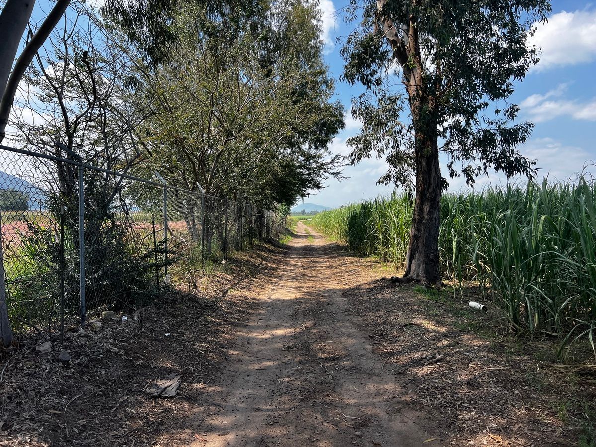 Terreno en San Isidro Mazatepec, Tala, foto 20 de 23