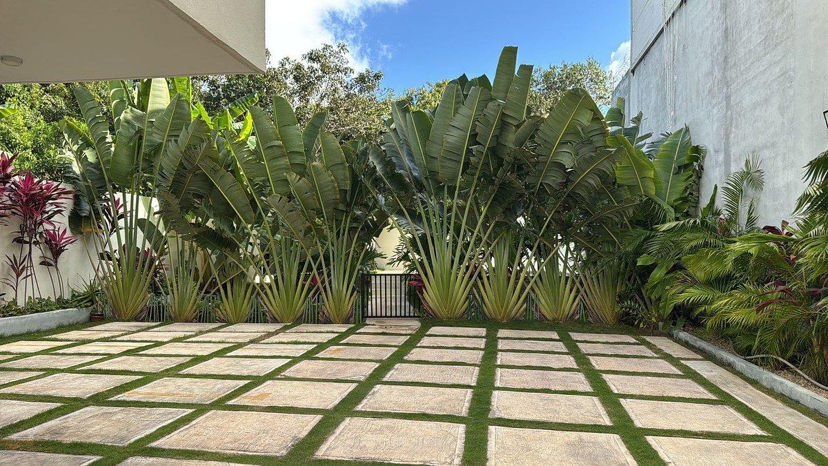Apartment in Supermanzana 313, Benito Juárez, photo 2 of 14