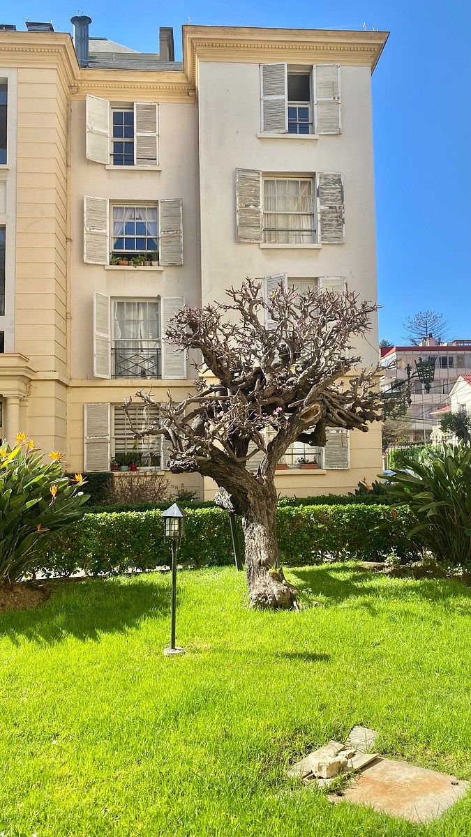 Departamento en Viña del Mar Centro, Viña del Mar, foto 28 de 33