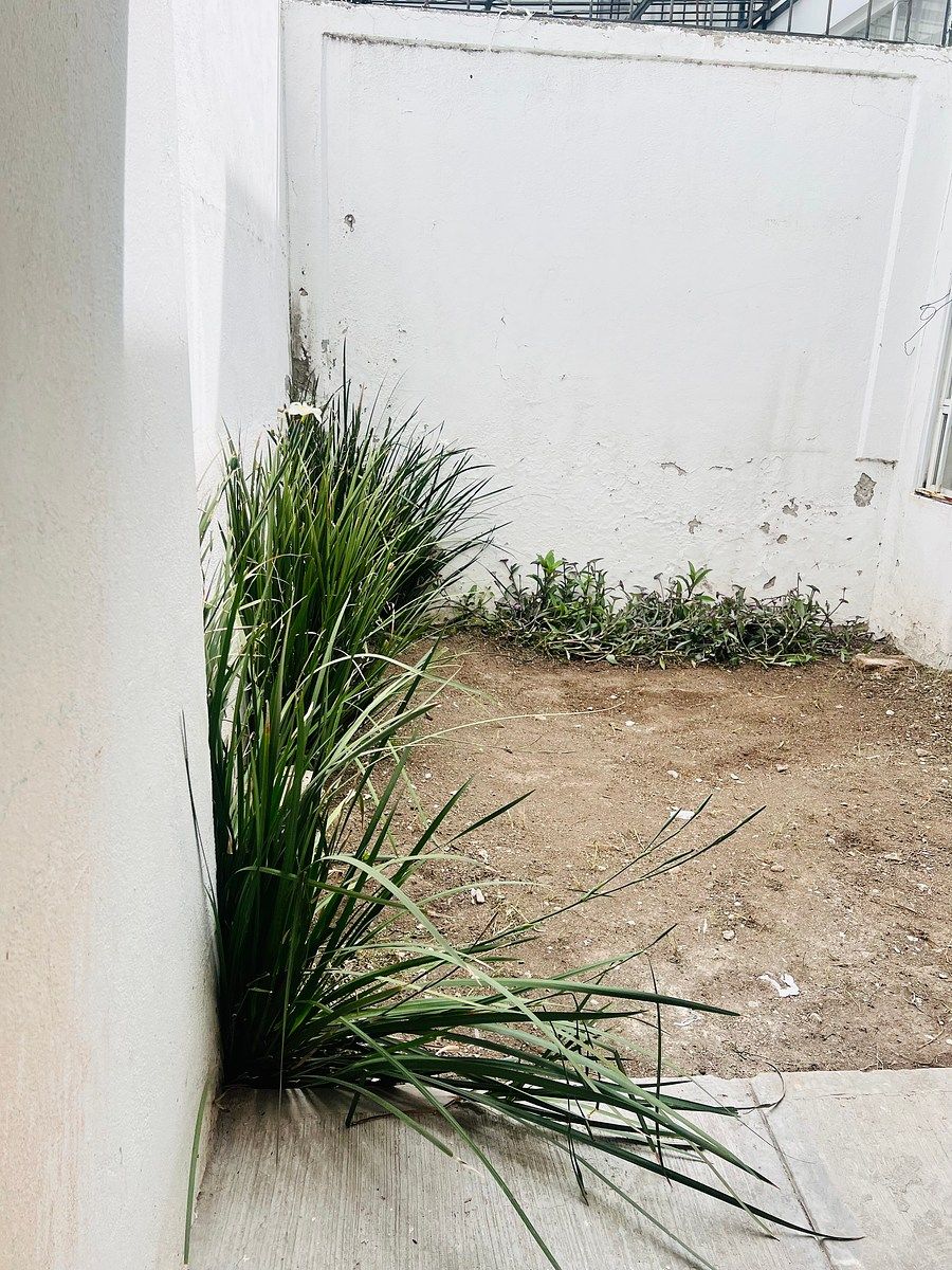 Casa en Misión Mariana, Corregidora, foto 6 de 19
