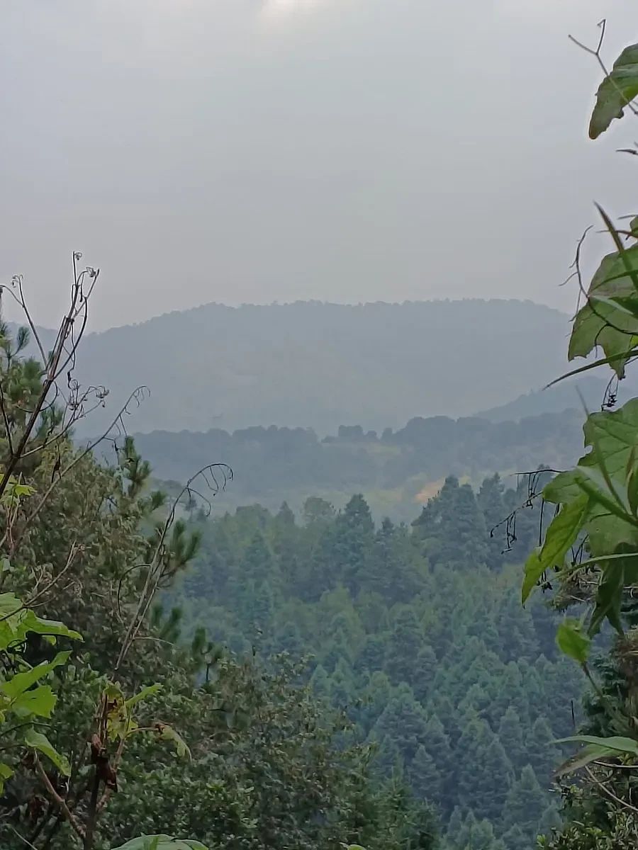 Terreno en Villa Alpina, Naucalpan de Juárez, foto 2 de 10