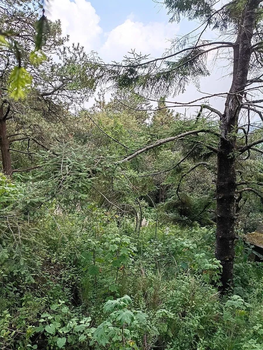 Terreno en Villa Alpina, Naucalpan de Juárez, foto 6 de 10