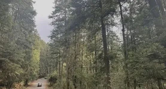 Terreno en Villa Alpina, Naucalpan de Juárez, foto 7 de 10