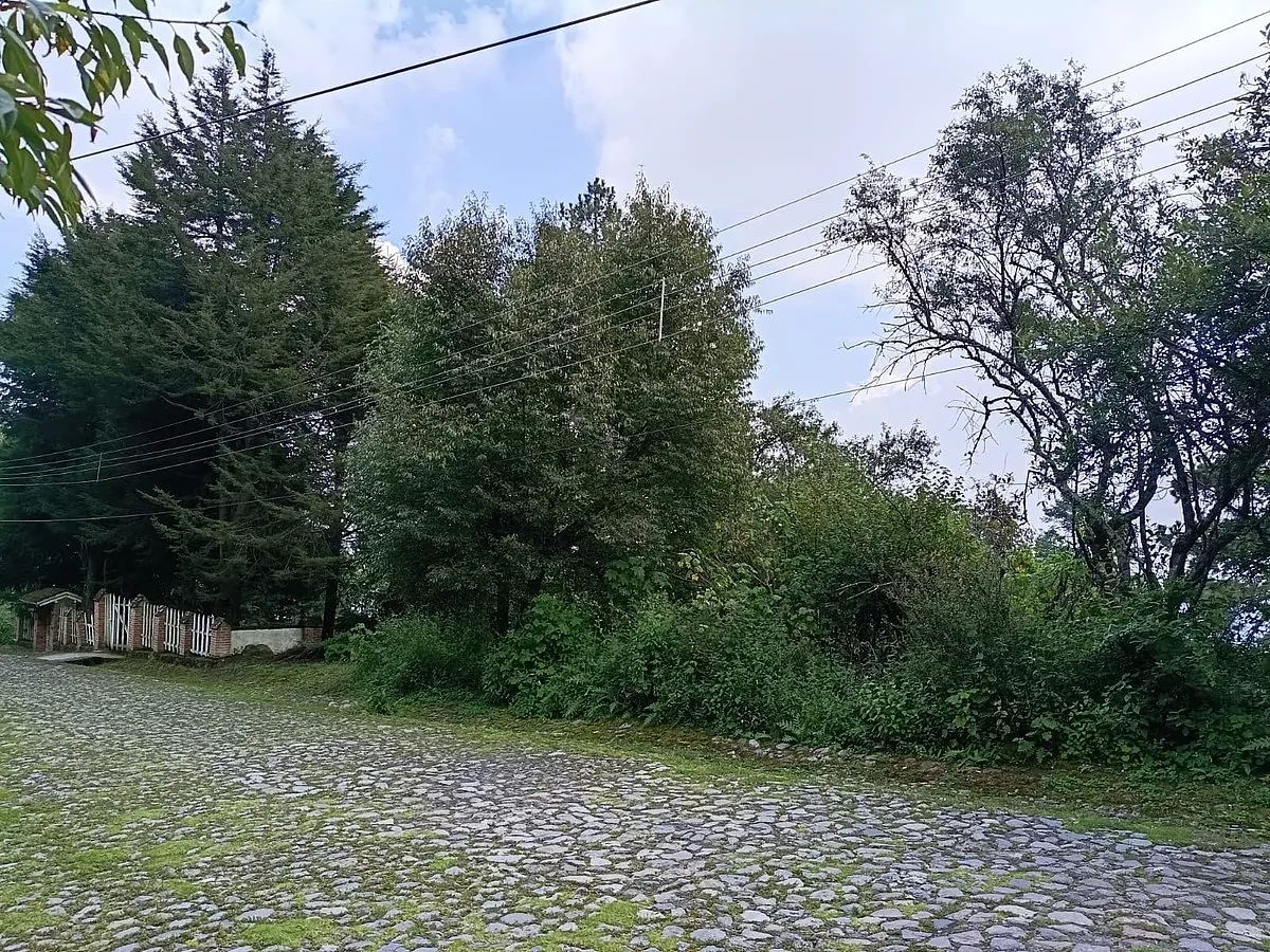 Terreno en Villa Alpina, Naucalpan de Juárez, foto 8 de 10