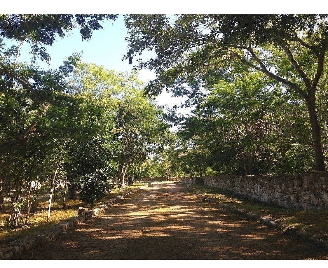 Terreno en Yucatán Country Club, Mérida, foto 5 de 25