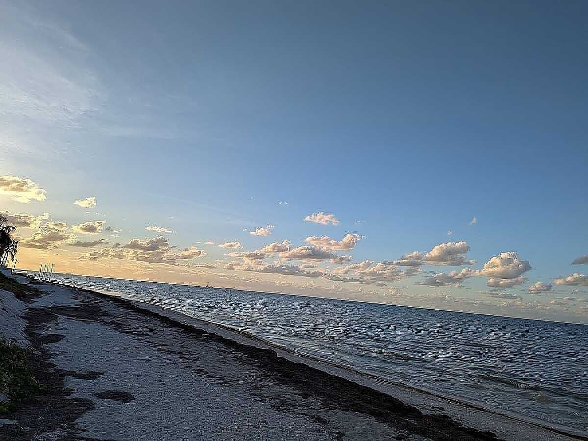 Terreno en Chicxulub Puerto, Progreso, foto 9 de 12