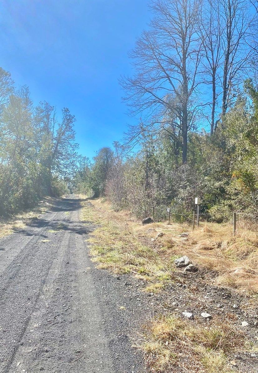 Sitios en Molco, Villarrica, foto 2 de 8