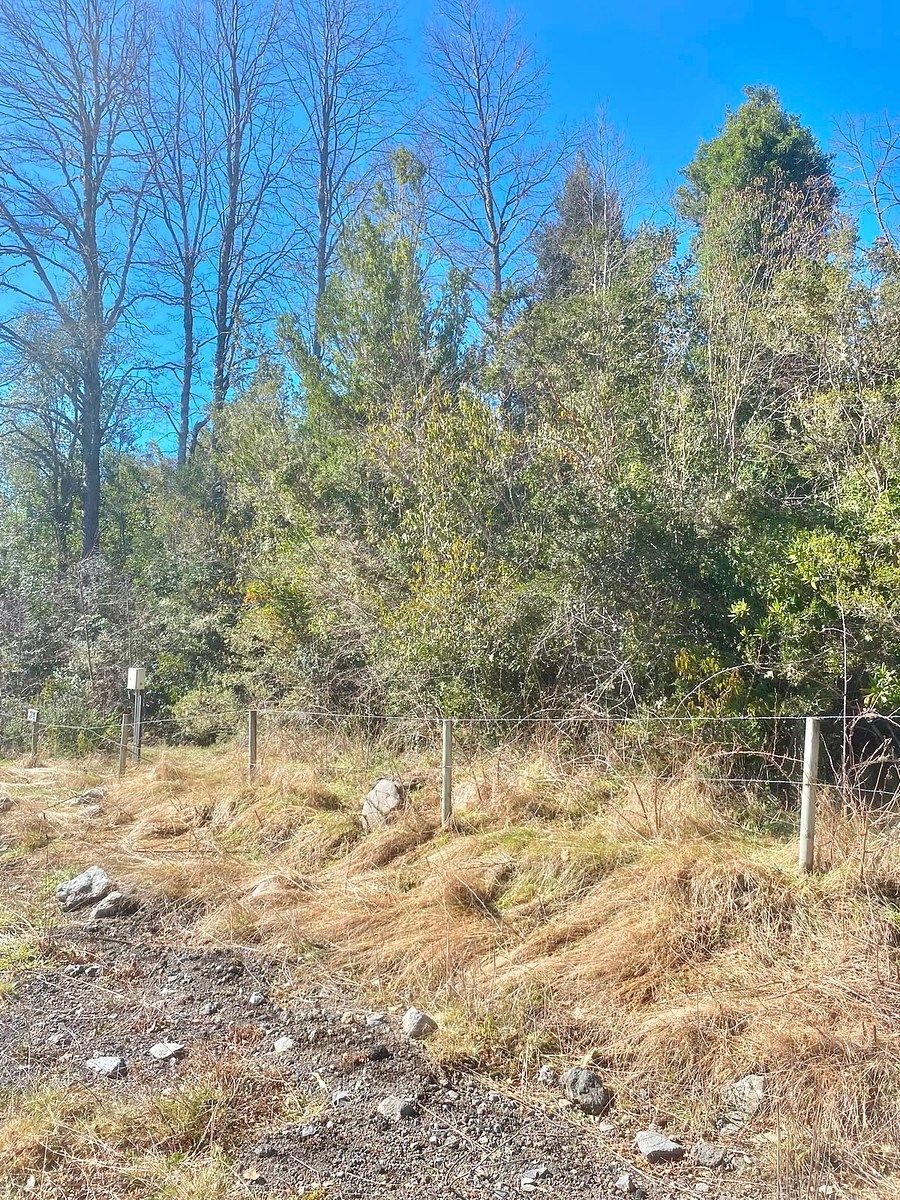 Sitios en Molco, Villarrica, foto 3 de 8