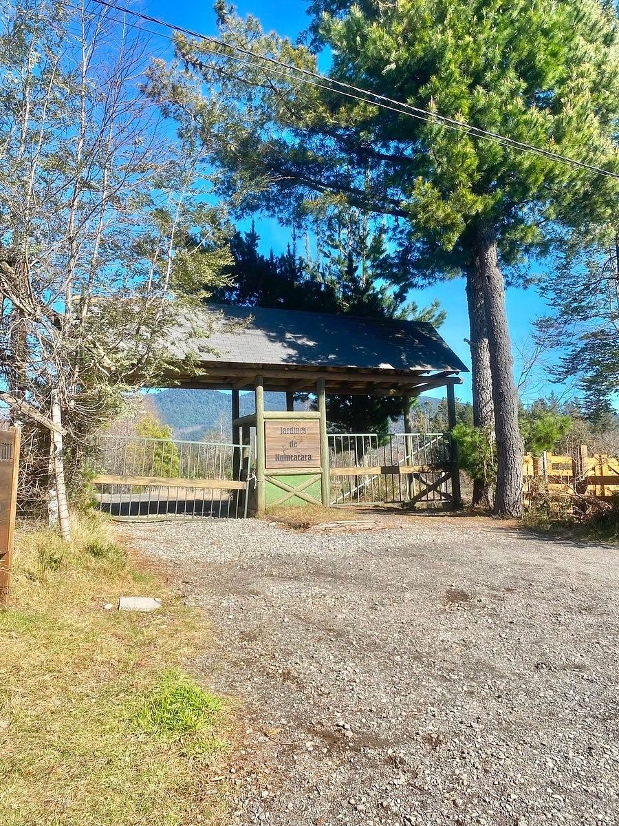 Sitios en Molco, Villarrica, foto 7 de 8