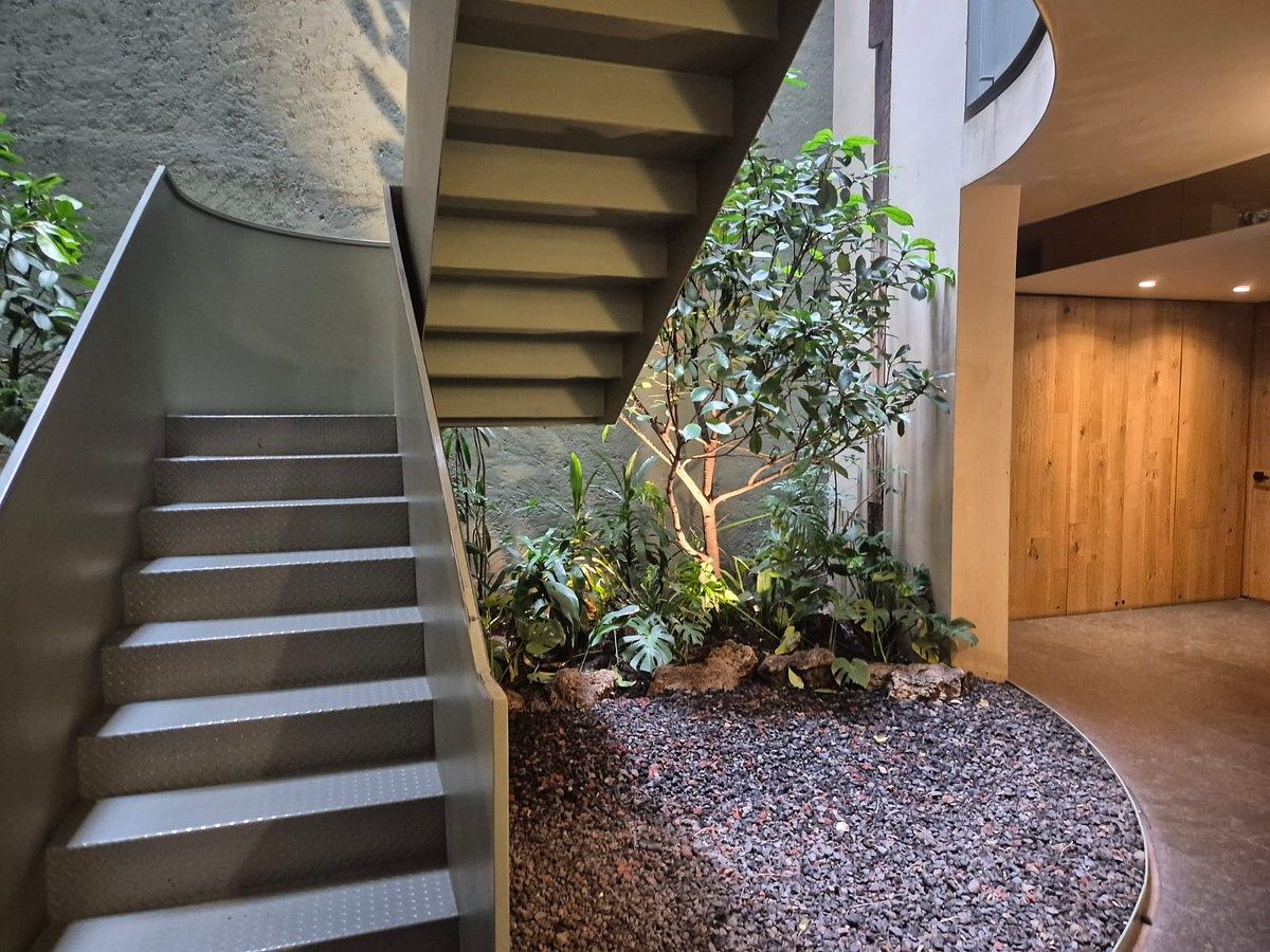 Departamento en Roma Norte, Cuauhtémoc, foto 10 de 21