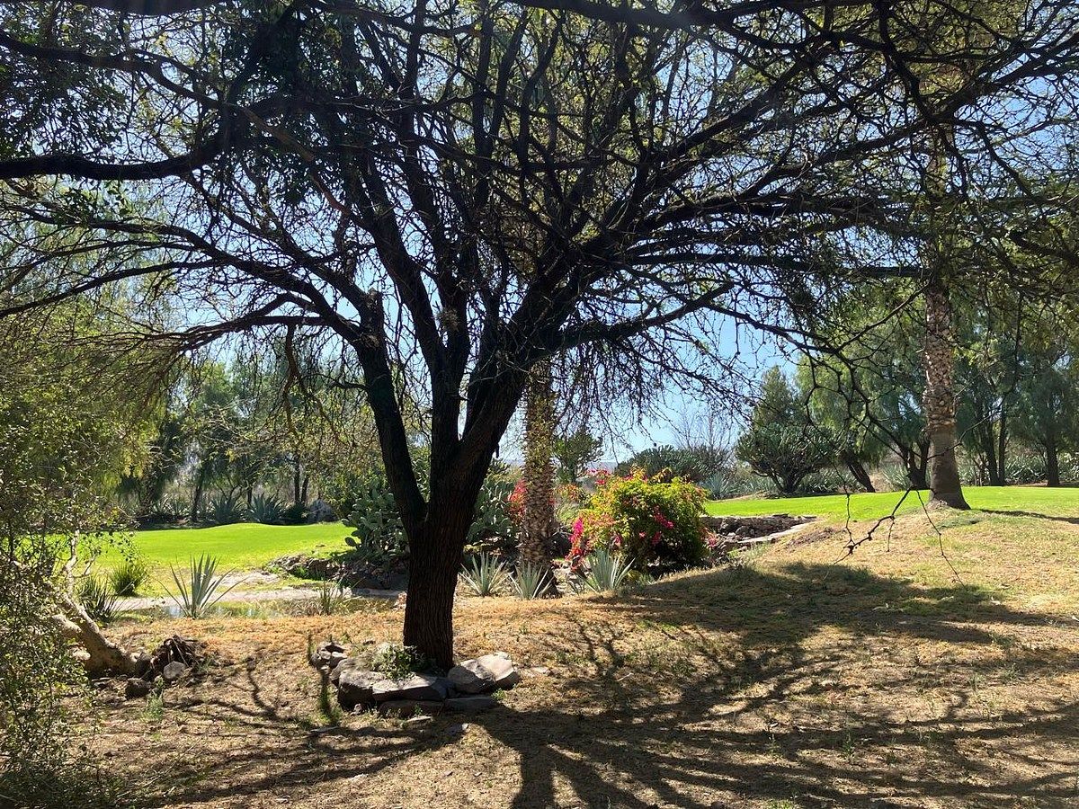 Terreno en Balvanera Polo y Country Club, Corregidora, foto 6 de 14