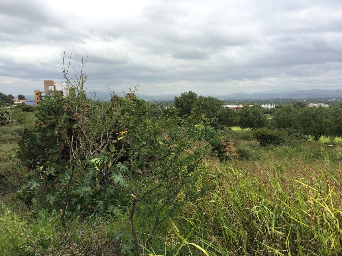Terreno en Balvanera Polo y Country Club, Corregidora, foto 4 de 14